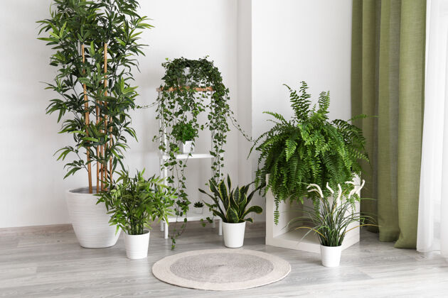 墙壁现代室内绿化植物室内展台花卉