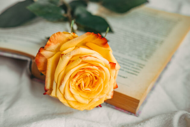 三月书上有黄红的玫瑰闪亮光明婚礼