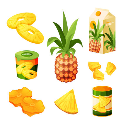 食品菠萝水果食品套装烹饪糖浆调味品