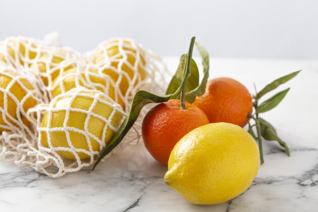 可持续发展带水果的海龟袋柠檬柑橘生态