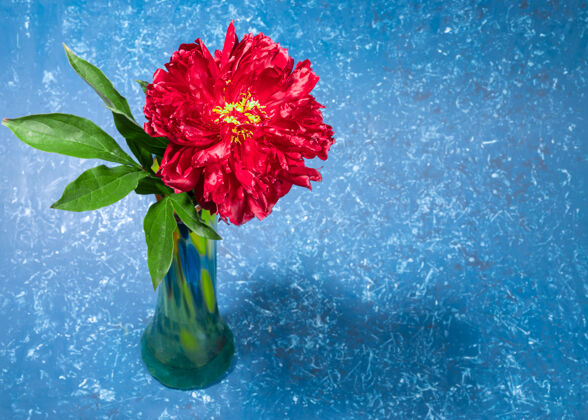 新鲜一朵美丽的鲜红色牡丹 插在色彩鲜艳的绿色花瓶中 背景为蓝色纹理 有复制空间明亮的节日贺卡节日送给母亲或妇女的鲜花礼物水平方向礼物玻璃温柔