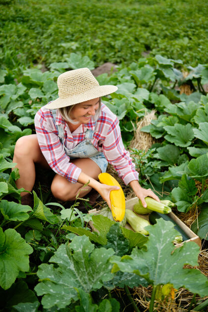 杂货戴着帽子的可爱女孩在花园里摘最新鲜的南瓜和西葫芦花园.秋天蔬菜收获西葫芦秋季废物