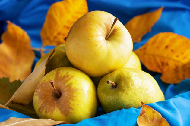 多汁的在被秋叶包围的蓝色织物上收获梨子和苹果成熟的物品叶子
