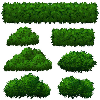 园艺收集各种形状的绿色灌木风景设置草地