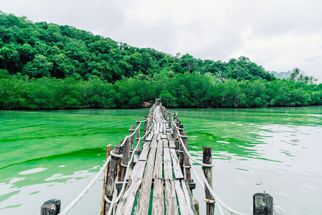 云木桥阿塔莱特湾在khanom 中弘寺泰国旅游旅游地标绿色地标码头