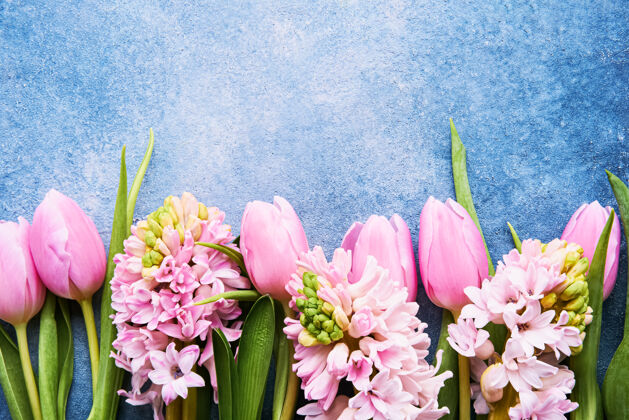 束粉红色的郁金香和粉红色的风信子花在明亮的蓝色上墙.顶查看 复制文本空间开花开花郁金香