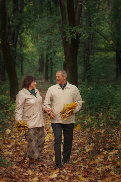 肖像一对退休老人走在秋天的公园里 手牵着手 欢笑着收集金叶欢呼公园老人