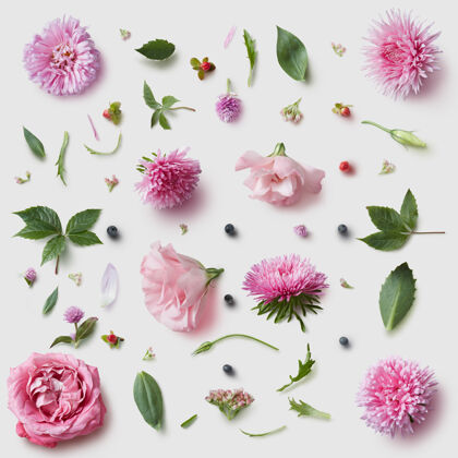 玫瑰优雅的墙纸图案 白色上有粉红色的花朵甜优雅植物