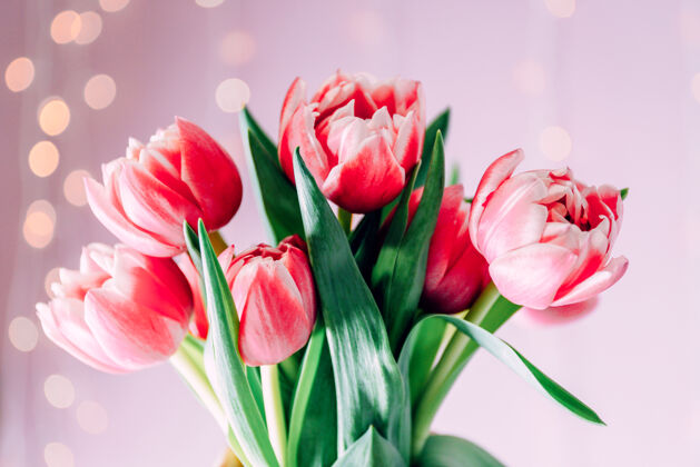 花束在模糊的灯光下 有一束美丽的粉红色郁金香叶礼物开花