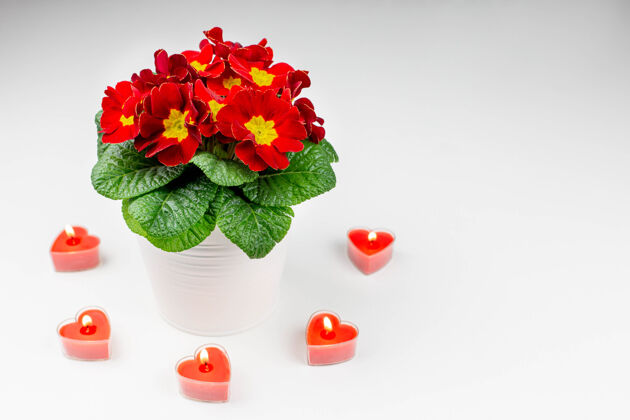 情人节一束美丽的春花和红烛 在白色的心形上甜蜜心侧视图