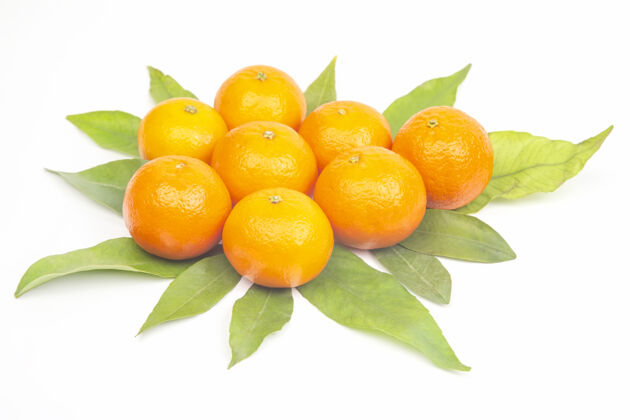 食用白叶国语柑橘叶子素食
