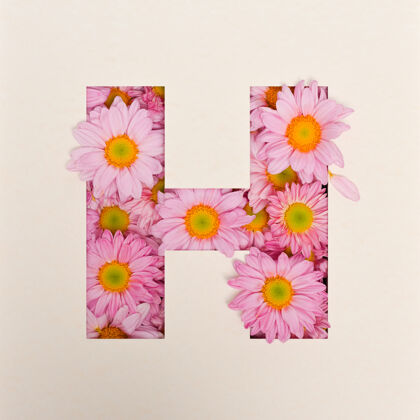 文字字体设计 抽象字母字体与粉红色的花 现实的花卉排版-h字体开花美丽