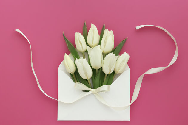 缎子白色郁金香的花朵组成 在珊瑚粉的信封上花郁金香丝带