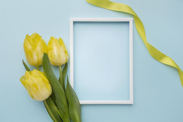 春天郁金香与框架旁边镜框春天的时间平面图