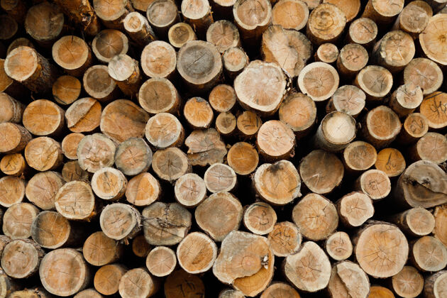 能源一堆木头森林采伐现场砍伐树干木材切割环境