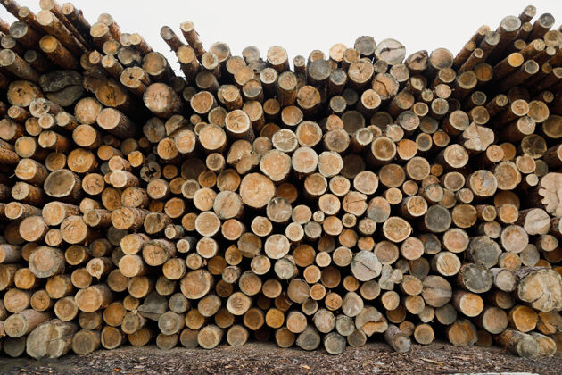 能源一堆木头森林采伐场树皮资源森林
