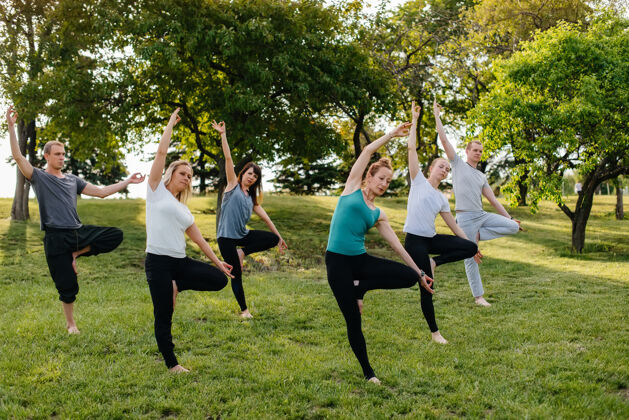 能量一群人在日落时分在公园里做瑜伽健康的生活方式 冥想和健康女人放松身体