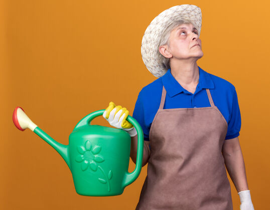 帽子自信的上了年纪的女园丁戴着园艺帽和手套拿着浇水罐抬头看举行园艺女