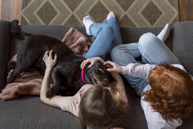 生活方式女人和狗躺在沙发上女人责任感放松