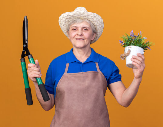 帽子微笑的上了年纪的女园丁戴着园艺帽拿着园艺剪刀和桔子上的花盆花园老人剪刀