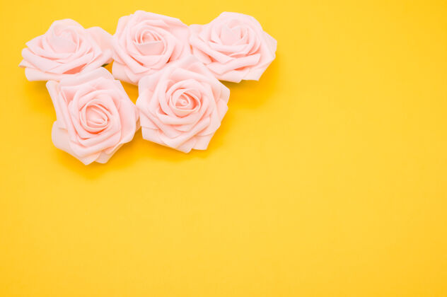 自然黄色背景上孤立的粉红玫瑰特写镜头花朵花玫瑰