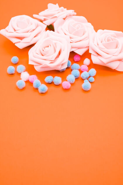 花垂直特写镜头粉红色玫瑰和庞彭孤立的橙色背景与复制空间粉色花朵绽放