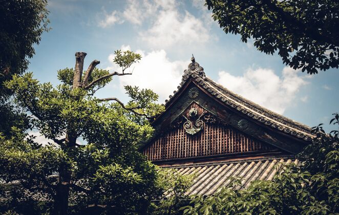 日本特写镜头为日本京都的尼日城堡的屋顶省亚洲皇家