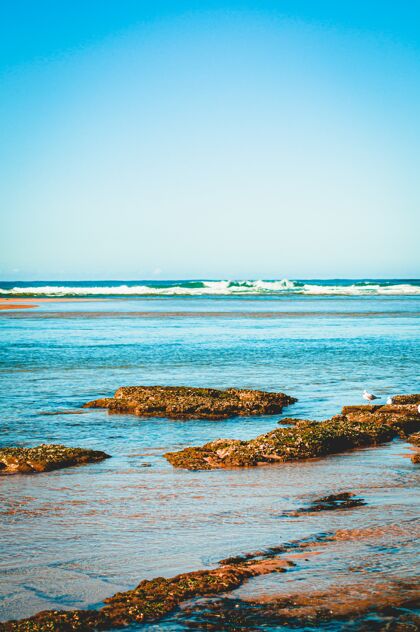 度假美丽的垂直拍摄充满活力的蓝色海浪周围的岩石海滩地平线水风