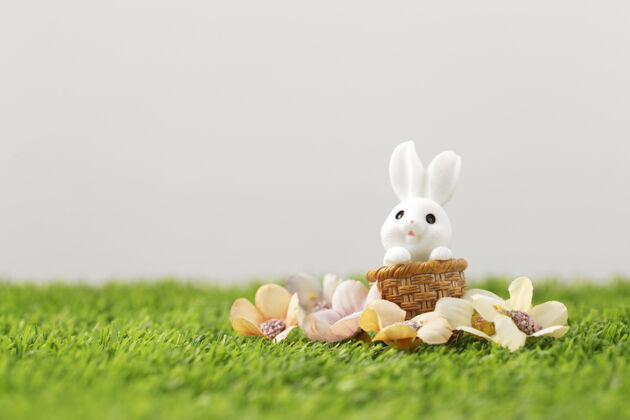 兔子草地上的复活节兔子草可爱复活节