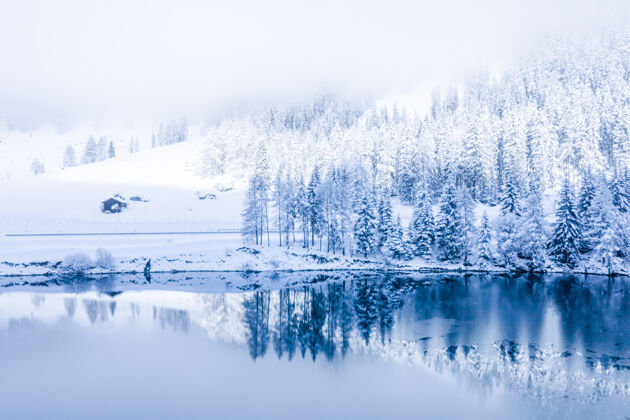 自然神奇的瑞士冬日湖在阿尔卑斯山的中心 四周森林被白雪覆盖美丽白色岩石