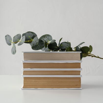 知识书堆上有植物和白色的背景编排信息信息