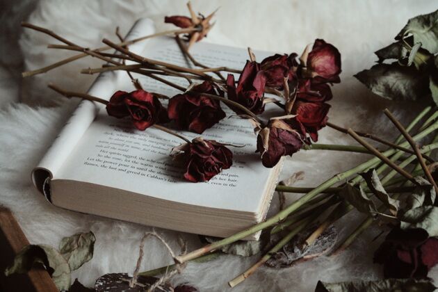 信灯下桌子上一本打开的书上放着干玫瑰叶阅读古董