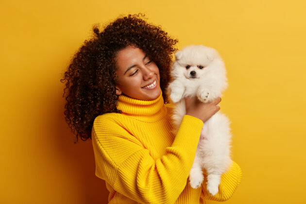卷发美丽的卷曲的非洲裔美国女士 穿着黄色超大毛衣 在室内与最喜爱的宠物玩耍 心情愉快 为拥有漂亮的动物感到自豪动物品种朋友