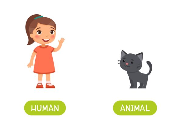 学校小女孩和可爱的黑小猫人和动物的反义词卡片 对立的概念孩子英语国内
