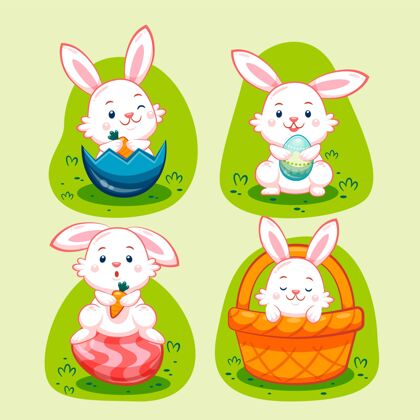 包复活节兔子系列节日兔子插图