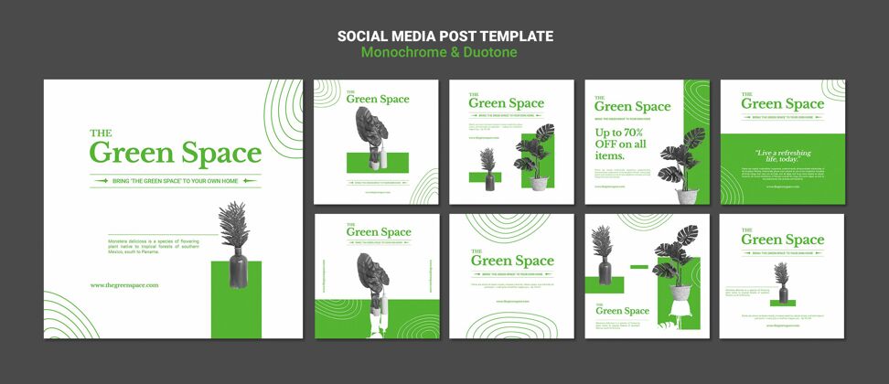 树叶绿色空间社交媒体帖子模板包装室内叶子