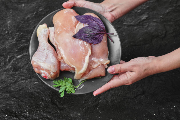动物女人手拿着一盘生鸡肉和罗勒在黑暗的表面新鲜肉鸡