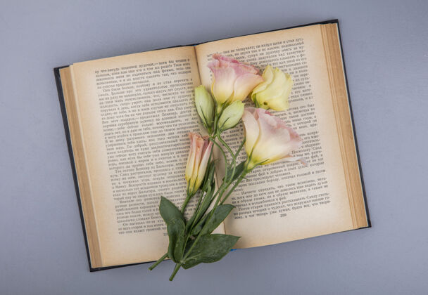 奇迹在灰色的背景下 一本书上方的美丽鲜花俯视图风景灰色新鲜