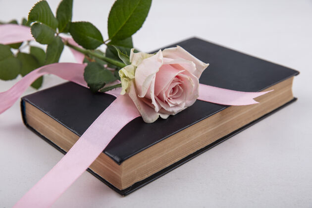 白色美丽的粉红色玫瑰的顶视图 叶子覆盖在一本白色背景的书上自然叶子玫瑰
