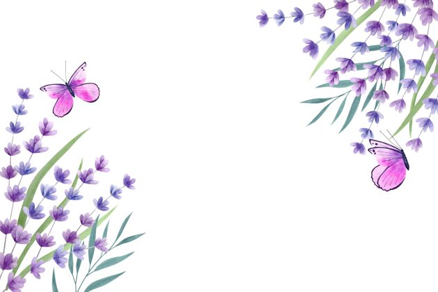 复制空间复制空间春天的背景和紫罗兰蝴蝶美丽春天花卉