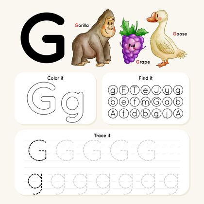 教育字母g与大猩猩 葡萄 鹅知识孩子教育家