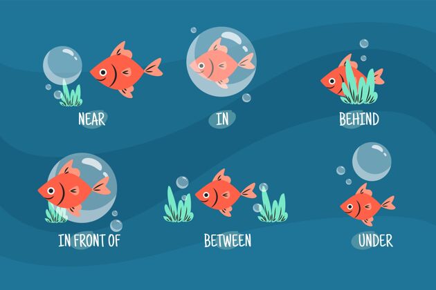 创造力带鱼插图的英语介词发展教育者教育者