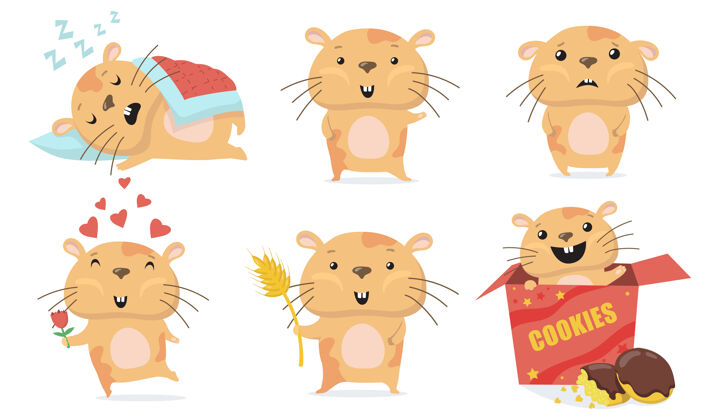 动物可爱的仓鼠集可爱有趣的卡通仓鼠睡觉 挥手打招呼 给爱的花 在盒子里吃饼干动物 宠物 啮齿动物的概念矢量插图礼物害虫各种