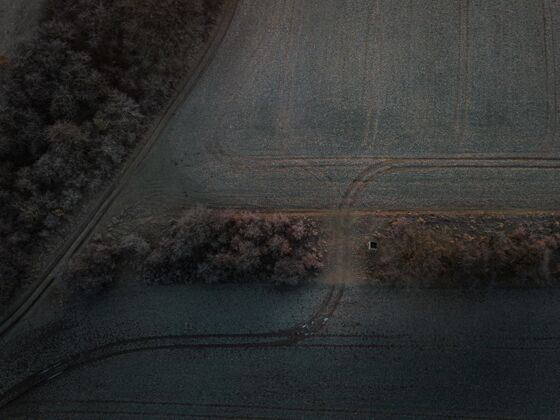 季节空中拍摄的一个农场与轨道领域森林植物田地