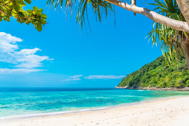 岛屿美丽的热带海滩 大海 椰子树 蓝天白云环绕加勒比度假村海岸线