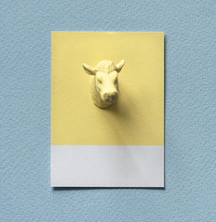 角黄牛头在纸上形状动物微型