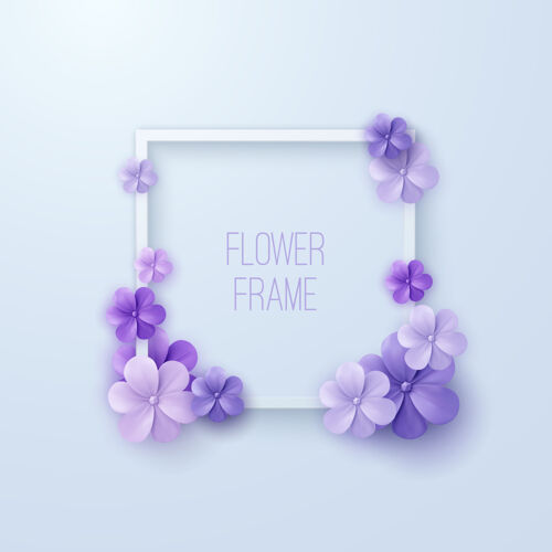 五彩白色方框 开紫罗兰花开花植物学花卉