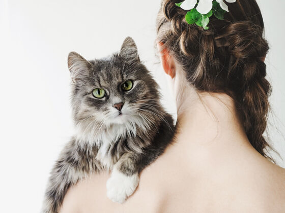 宠物可爱的小猫躺在漂亮女人的肩膀上友谊眼睛肩膀