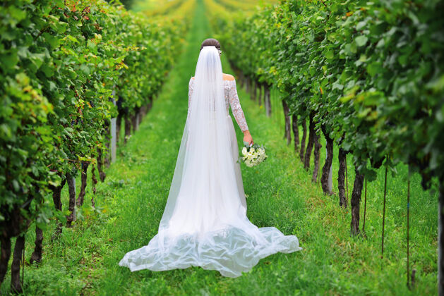 高加索年轻美丽的婚礼新娘走在日落在托斯卡纳在意大利附近的葡萄园在一个美丽的夜晚意大利连衣裙托斯卡纳夏季葡萄园风格模特女性