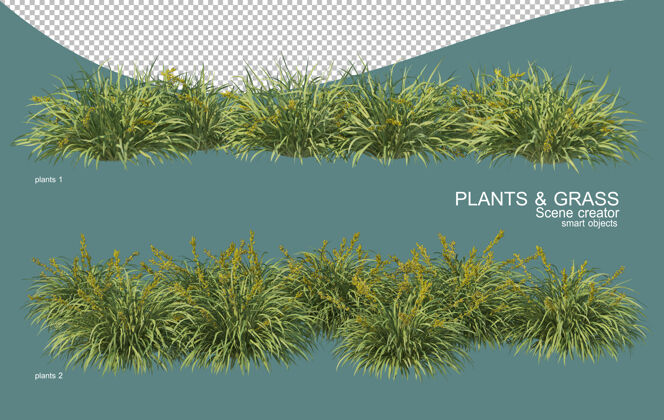 环境草和灌木排列的三维渲染叶植物草